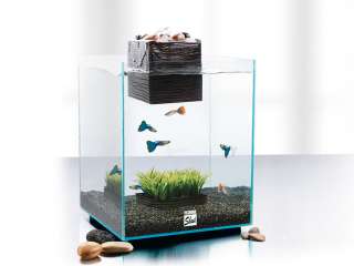 Fluval Chi Aquarium Kit Gorgeous Fish Tank 5 gal 10506  