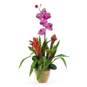  Double Bromeliad/Orchid Combo Silk Orchid Arrangement 