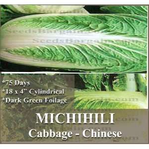 300 CHINESE MICHIHILI Cabbage seeds   NAPA ~SWEET & MILD 