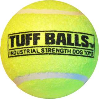 general interest dean tyler padded leather dog collar tuff balls