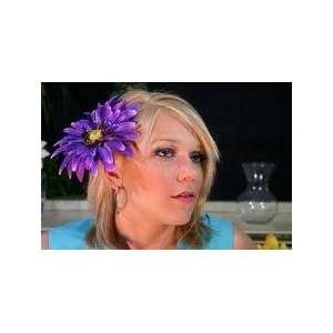 NEW HUGE 6 Purple Daisy Hair Flower Clip  30% OFF, Limited 