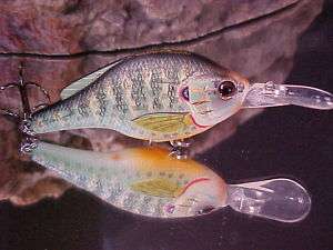 Koppers Live Target 2 1/4 PUMPKINSEED (Fish/Collect)  