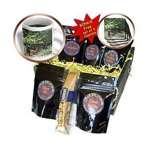 Beverly Turner Photography   Young Buck   Coffee Gift Baskets   Coffee 