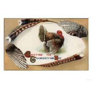  Greeting for Thanksgiving Day   Turkey Feathers Premium 