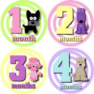  Sweet Diggity Dog Monthly Baby Bodysuit Stickers Baby