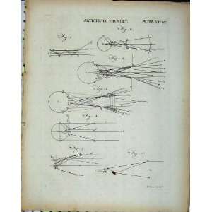   Encyclopaedia Britannica Articulate Trumpet Diagrams