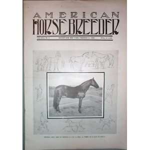  American Horse Breeder Vol. XXVI No. 5 February 4, 1908 