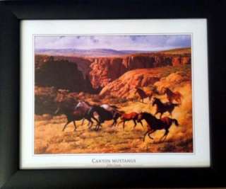 Framed Wild Western Cowboy Canyon Horse Buggy Photos  